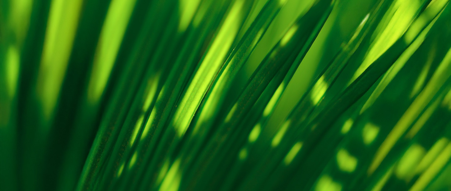 Sustainability